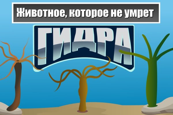 Сайты продаж наркотиков