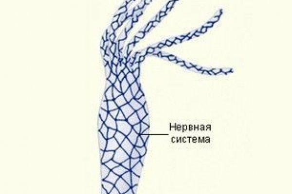 Ссылка на кракен лукойл