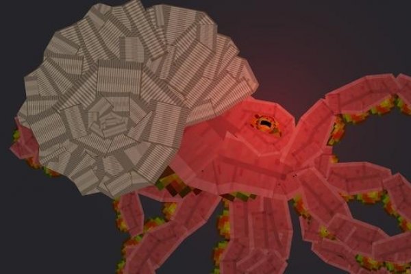 Kraken в россии