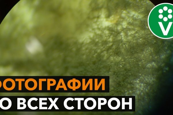 Кракен это современный даркнет